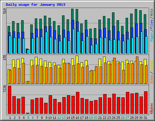 Daily usage for January 2013