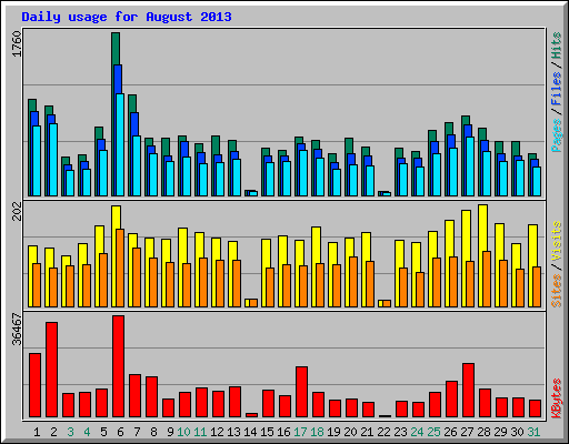 Daily usage for August 2013