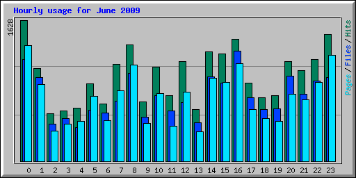 Hourly usage for June 2009