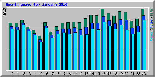 Hourly usage for January 2010