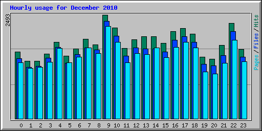 Hourly usage for December 2010