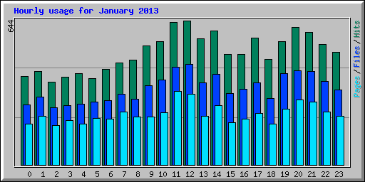 Hourly usage for January 2013