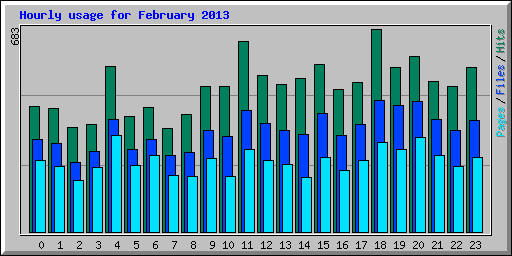 Hourly usage for February 2013