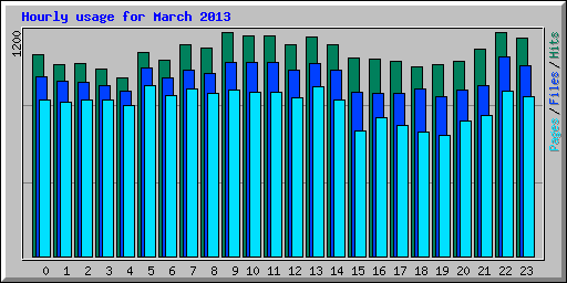 Hourly usage for March 2013