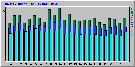 Hourly usage for August 2013