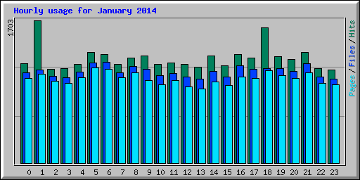 Hourly usage for January 2014